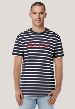 Herren T-Shirt GRAPHIC STRIPED