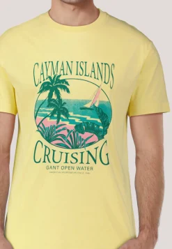 Herren T-Shirt PLACED GRAPHIC