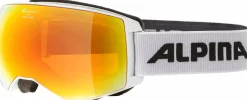 Ski- und Snowboardbrille NAATOR