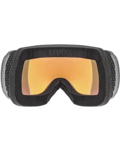 Skibrille DOWNHILL 2100 CV