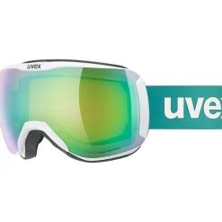 Skibrille DOWNHILL 2100 CV